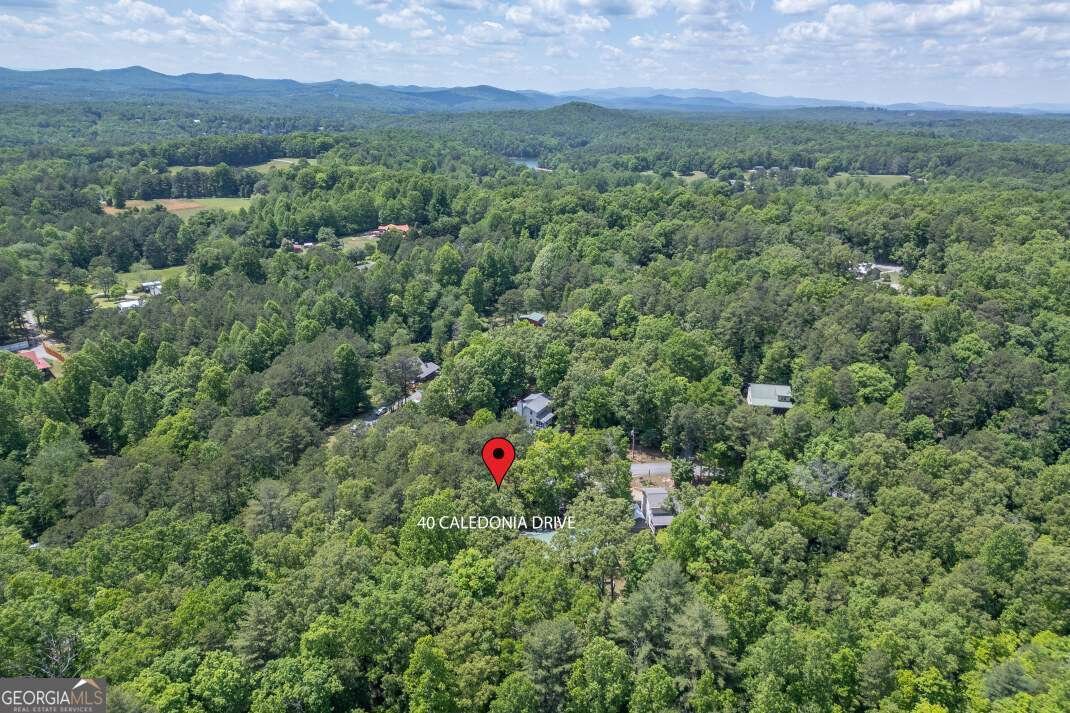 40 Caledonia Drive Blairsville - Photo 54