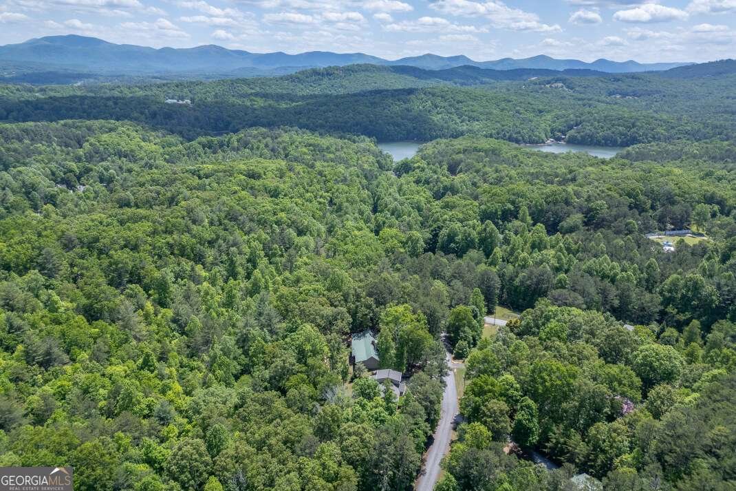 40 Caledonia Drive Blairsville - Photo 55