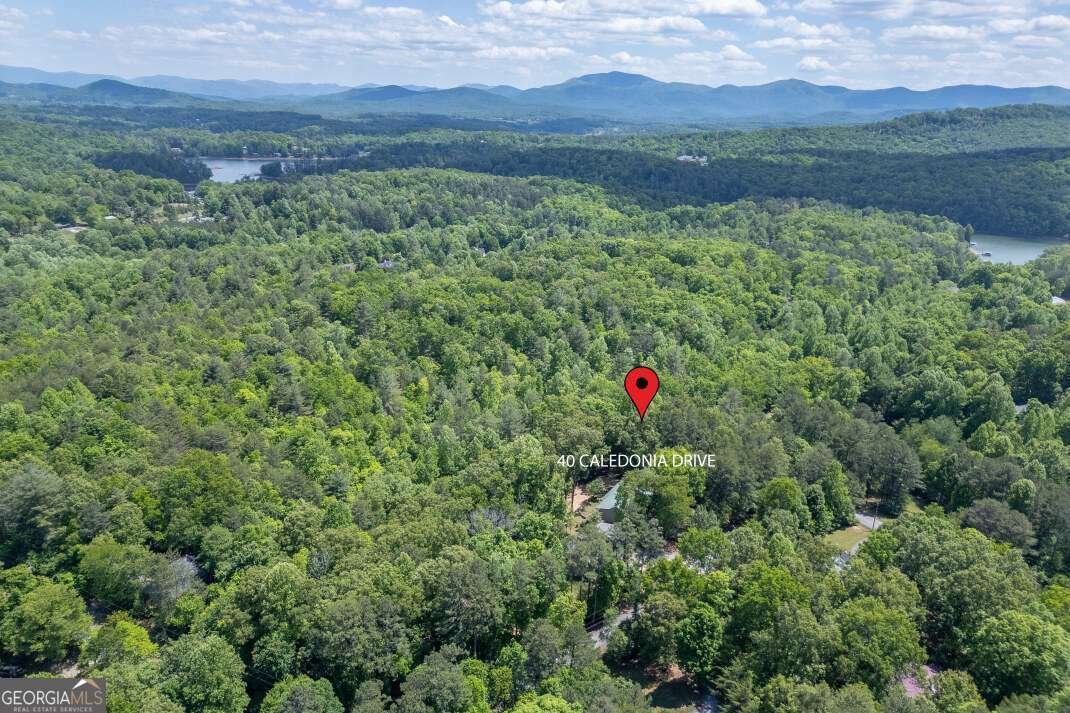40 Caledonia Drive Blairsville - Photo 56