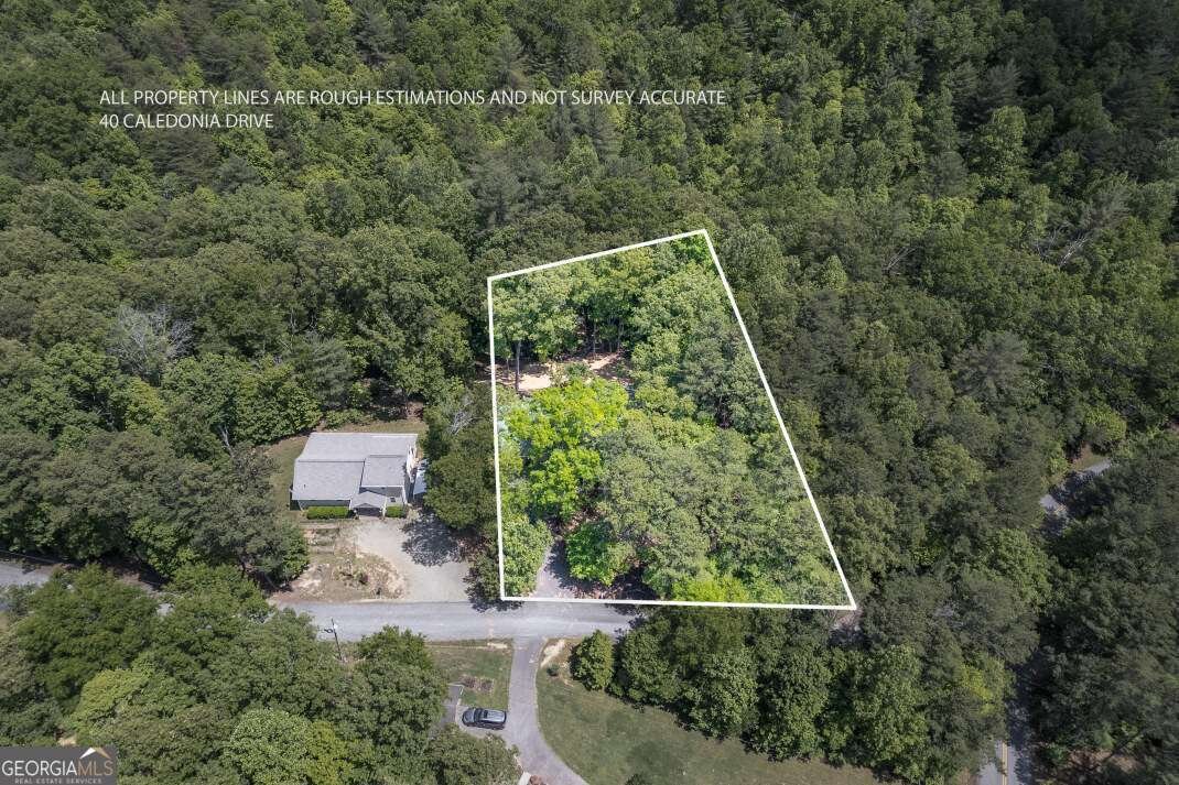 40 Caledonia Drive Blairsville - Photo 57