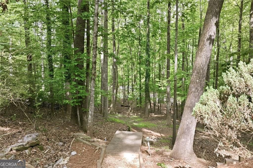 528 Oak Grove Road Dawsonville - Photo 35