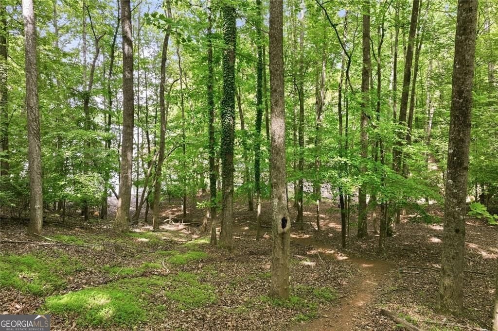 528 Oak Grove Road Dawsonville - Photo 36