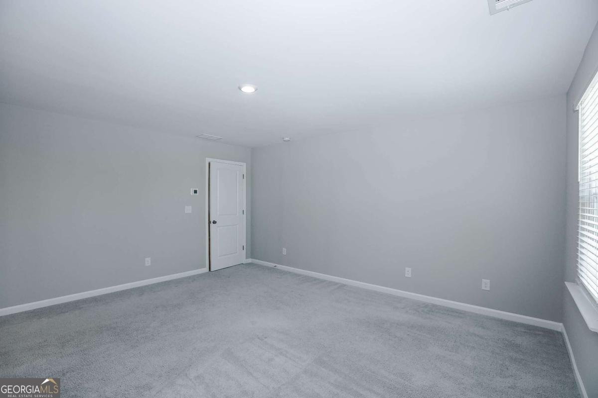 4355 Magpie Drive Hoschton - Photo 24