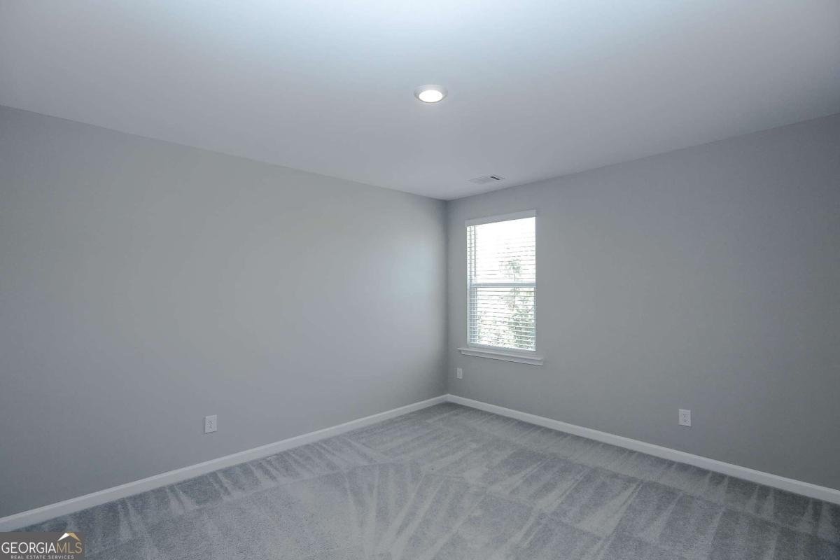 4355 Magpie Drive Hoschton - Photo 34