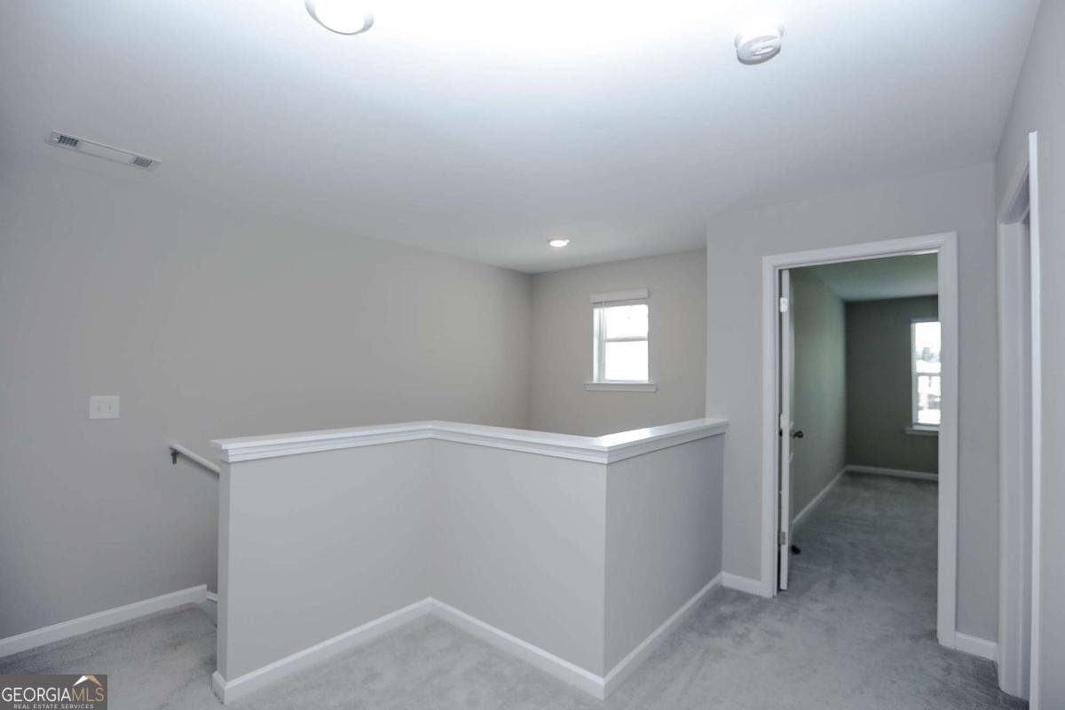 4355 Magpie Drive Hoschton - Photo 40