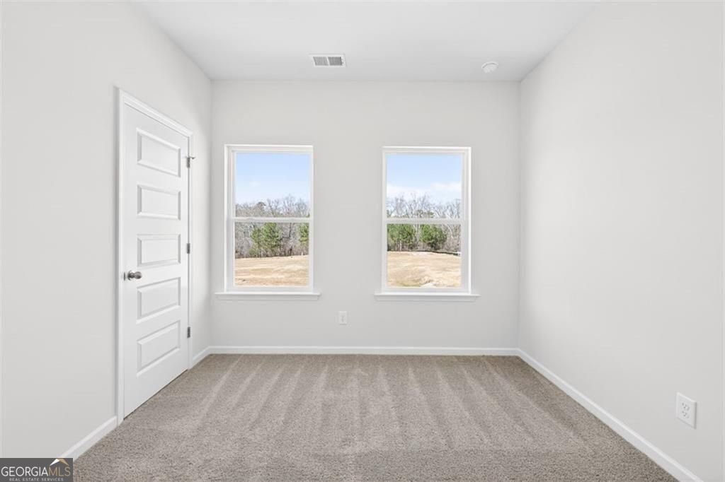 227 Alameda Street Loganville - Photo 17