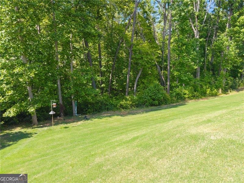 176 Whelchel Valley Drive Dawsonville - Photo 52