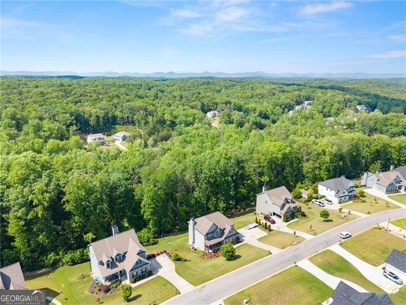 176 Whelchel Valley Drive Dawsonville - Photo 57