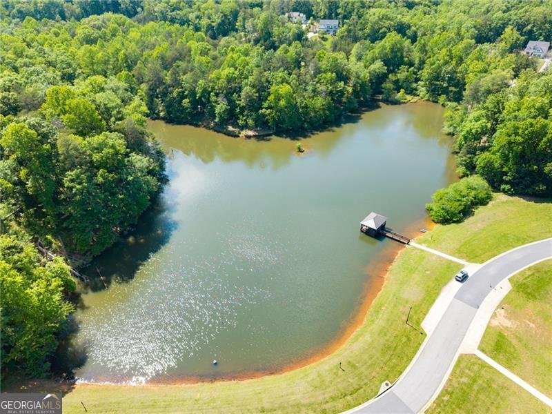 176 Whelchel Valley Drive Dawsonville - Photo 63