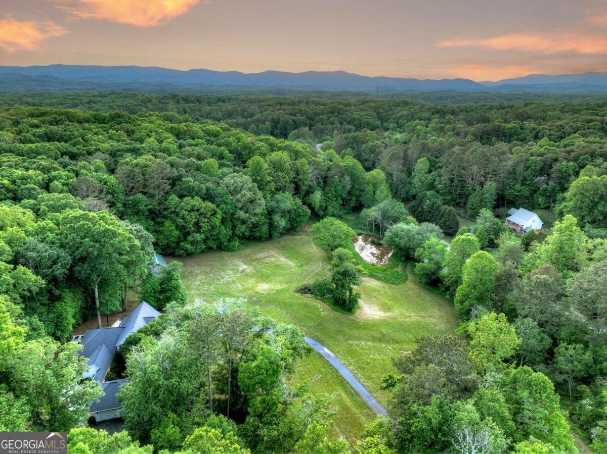 291 Kyle Arp Blue Ridge - Photo 85