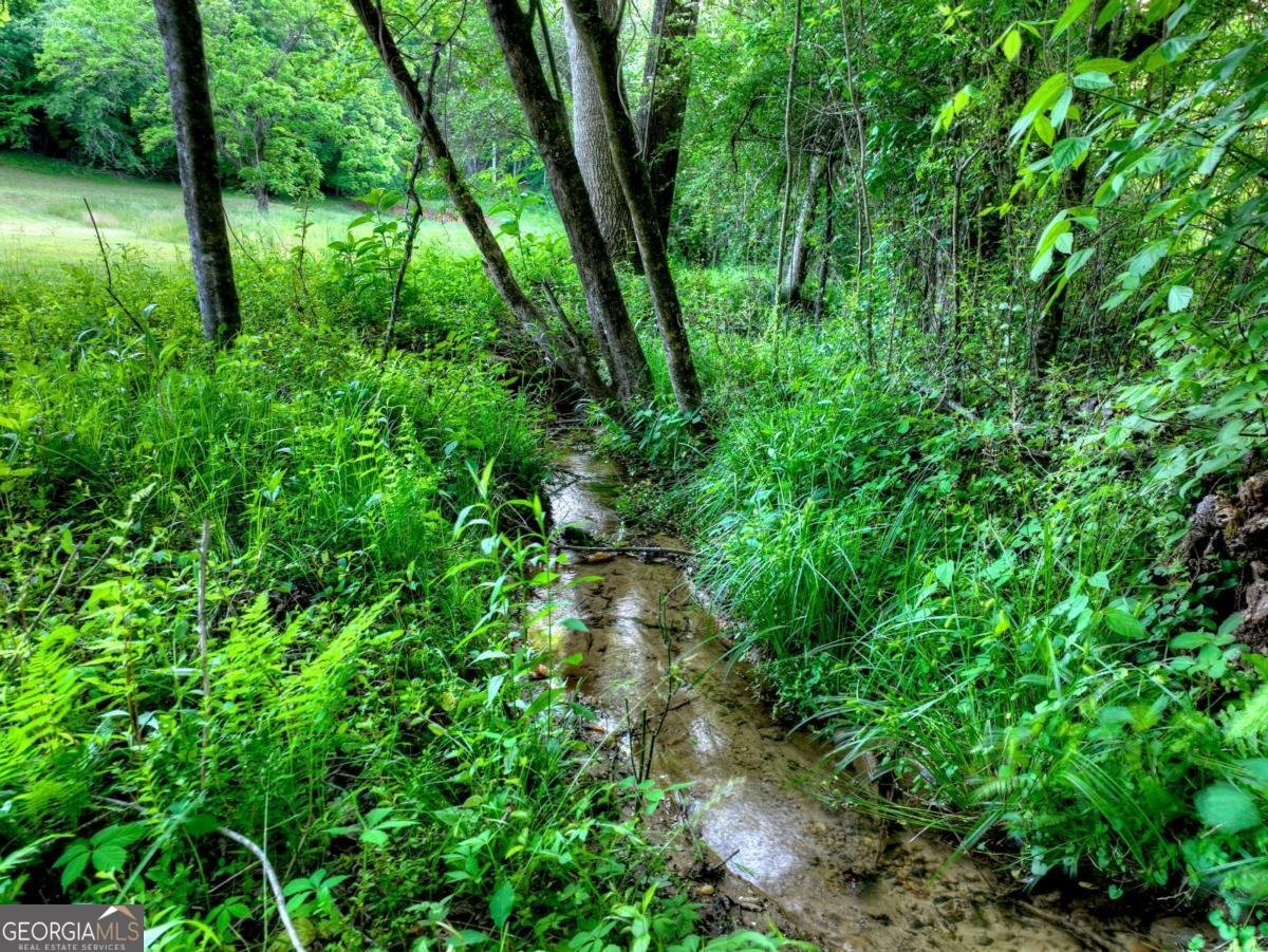 291 Kyle Arp Blue Ridge - Photo 91