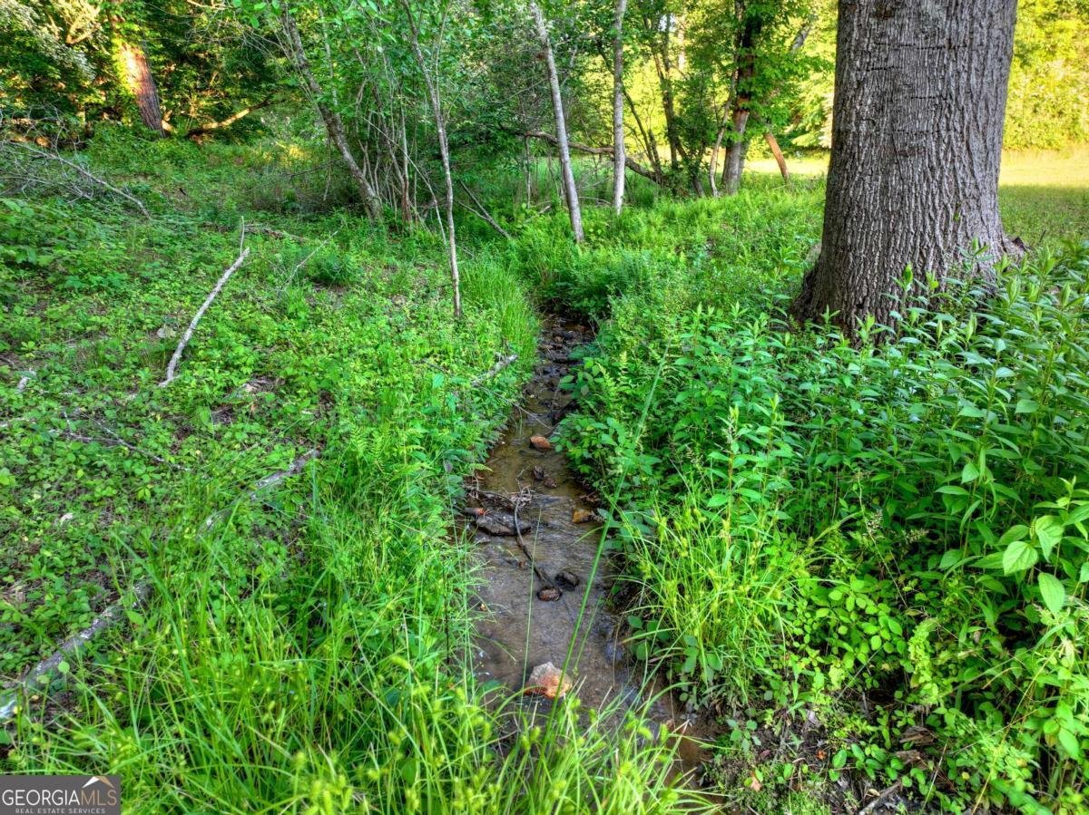 291 Kyle Arp Blue Ridge - Photo 92