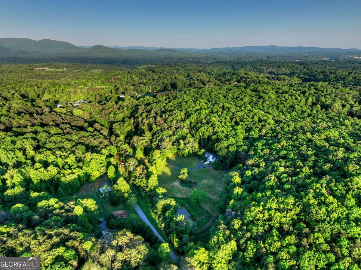 291 Kyle Arp Blue Ridge - Photo 96