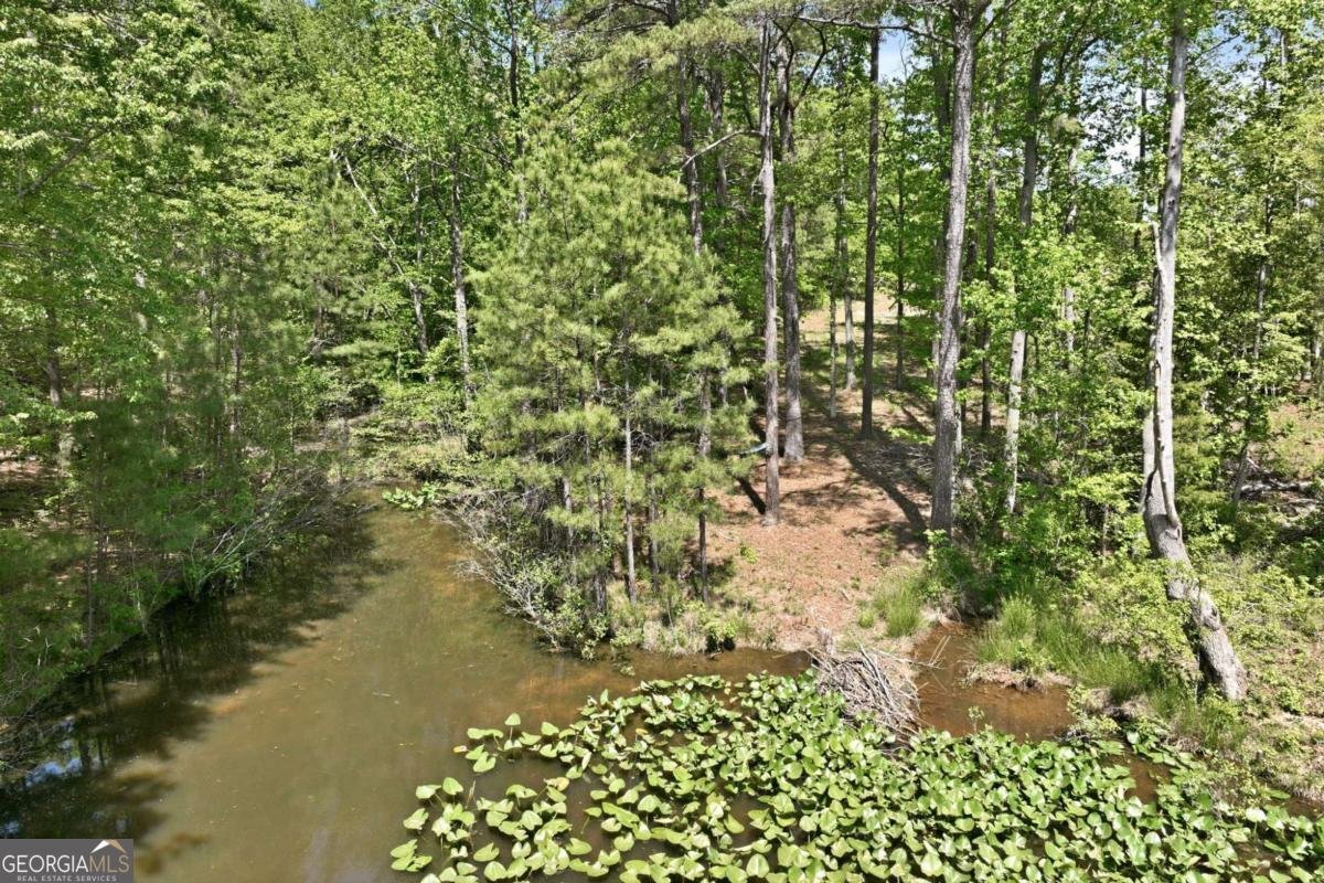 1502 Union Church Road Watkinsville - Photo 14