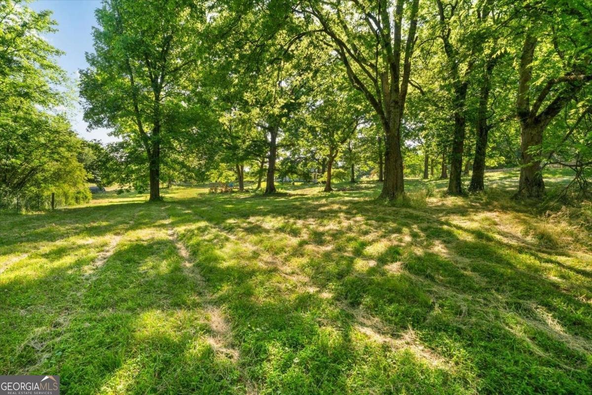 475 Evergreen Road Resaca - Photo 46