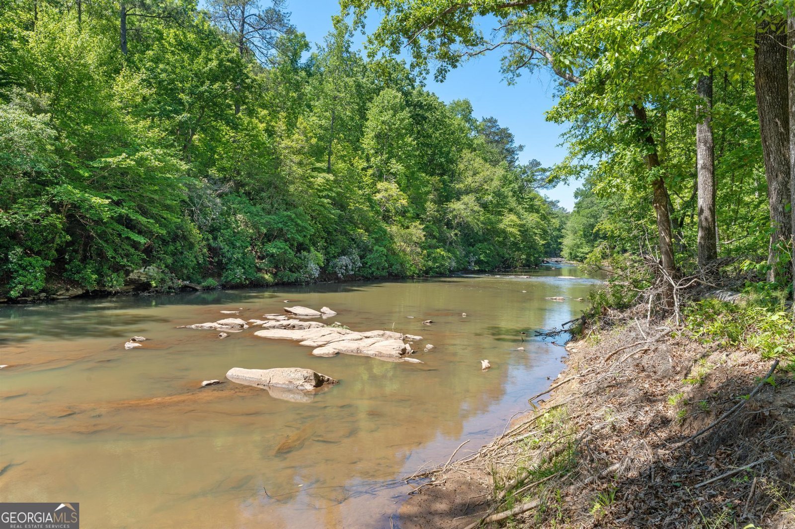 405 River Forest Drive Mcdonough - Photo 51