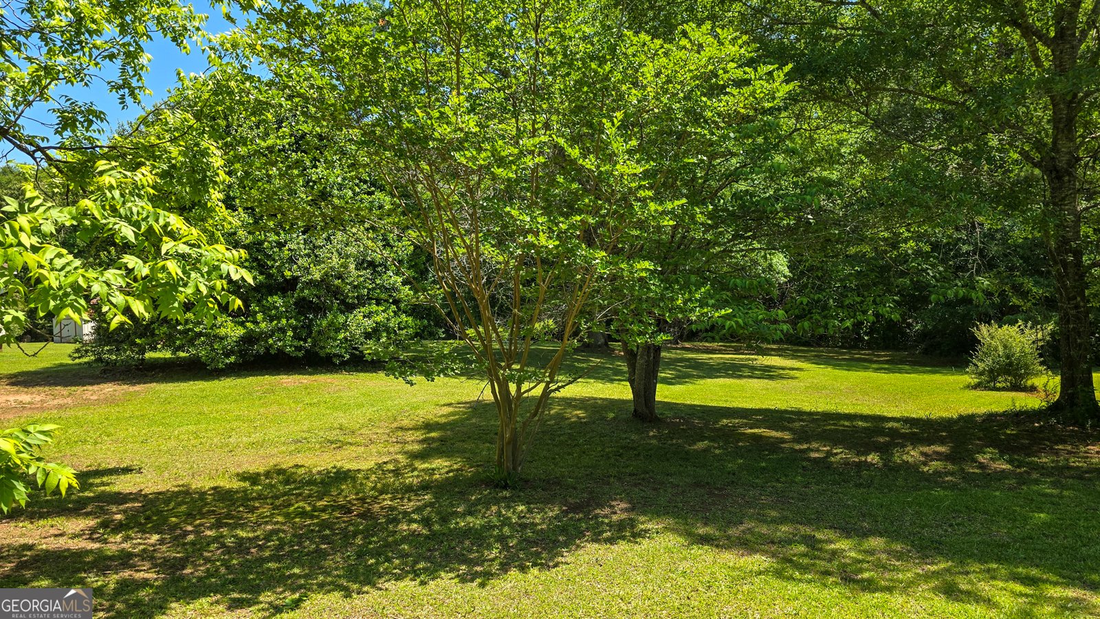 14196 Roosevelt Highway Greenville - Photo 31