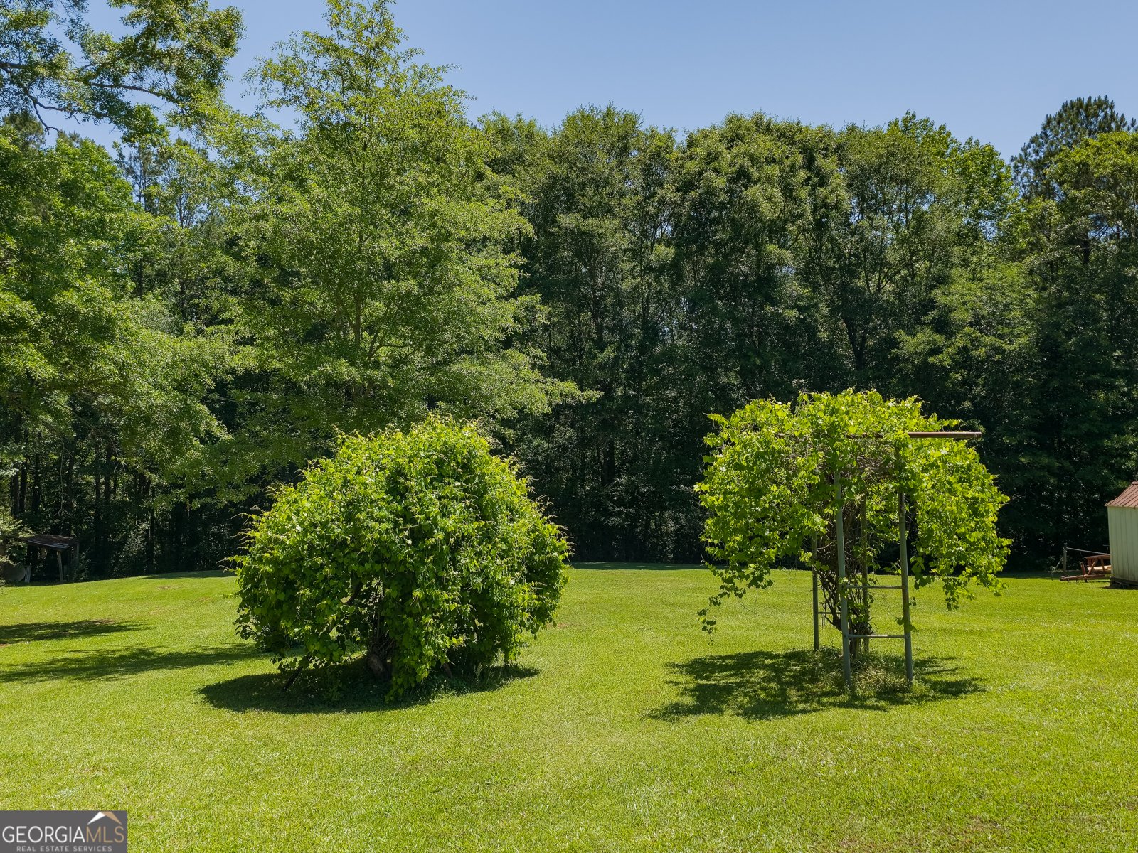 14196 Roosevelt Highway Greenville - Photo 32