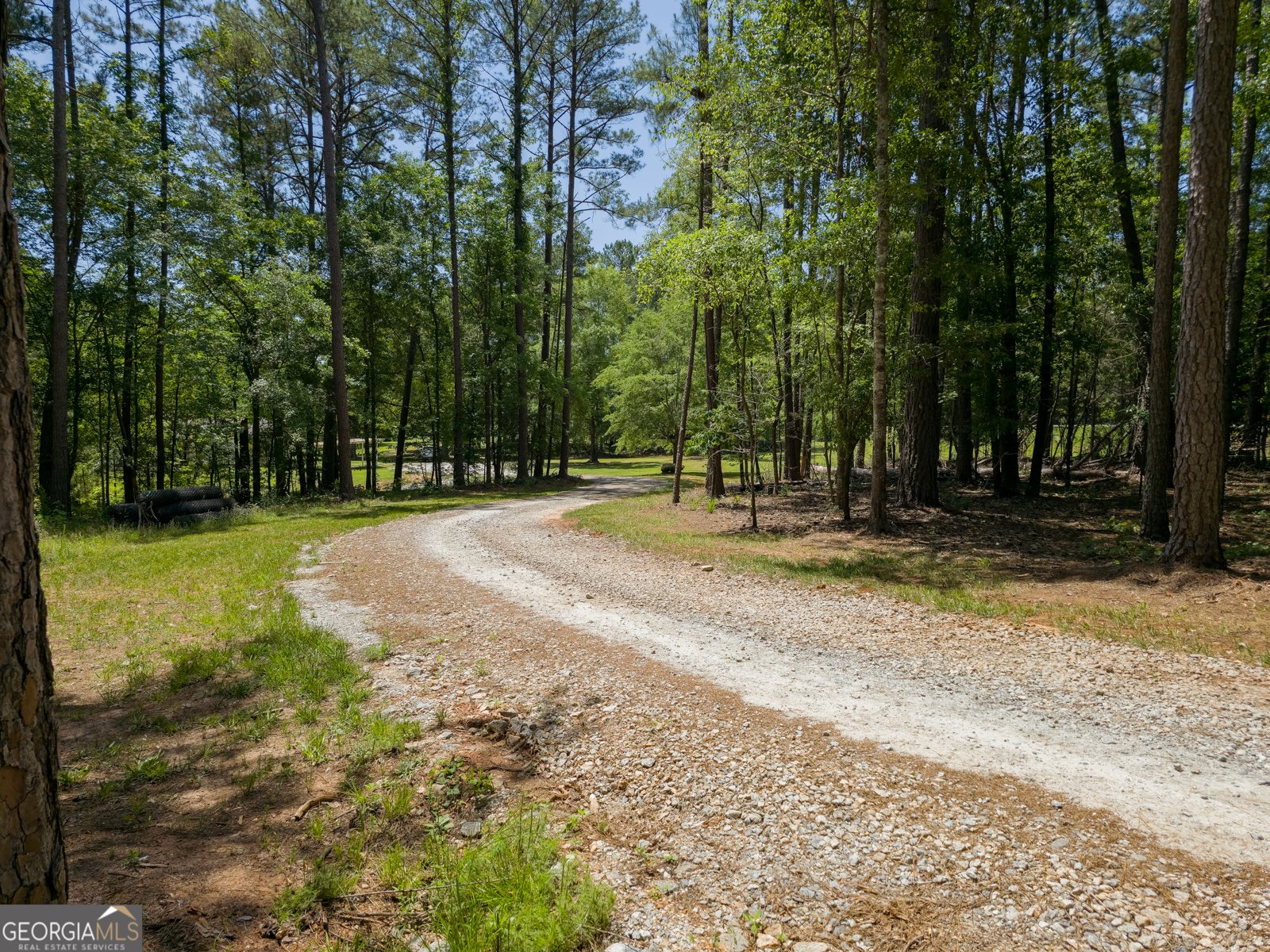 14196 Roosevelt Highway Greenville - Photo 33
