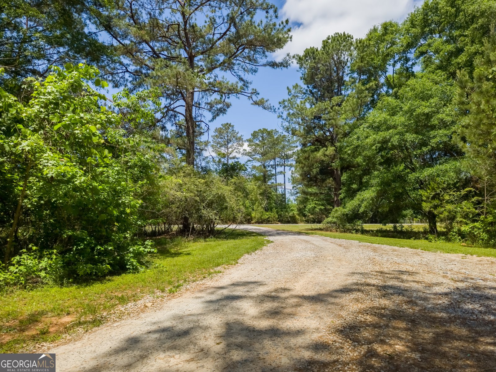 14196 Roosevelt Highway Greenville - Photo 35
