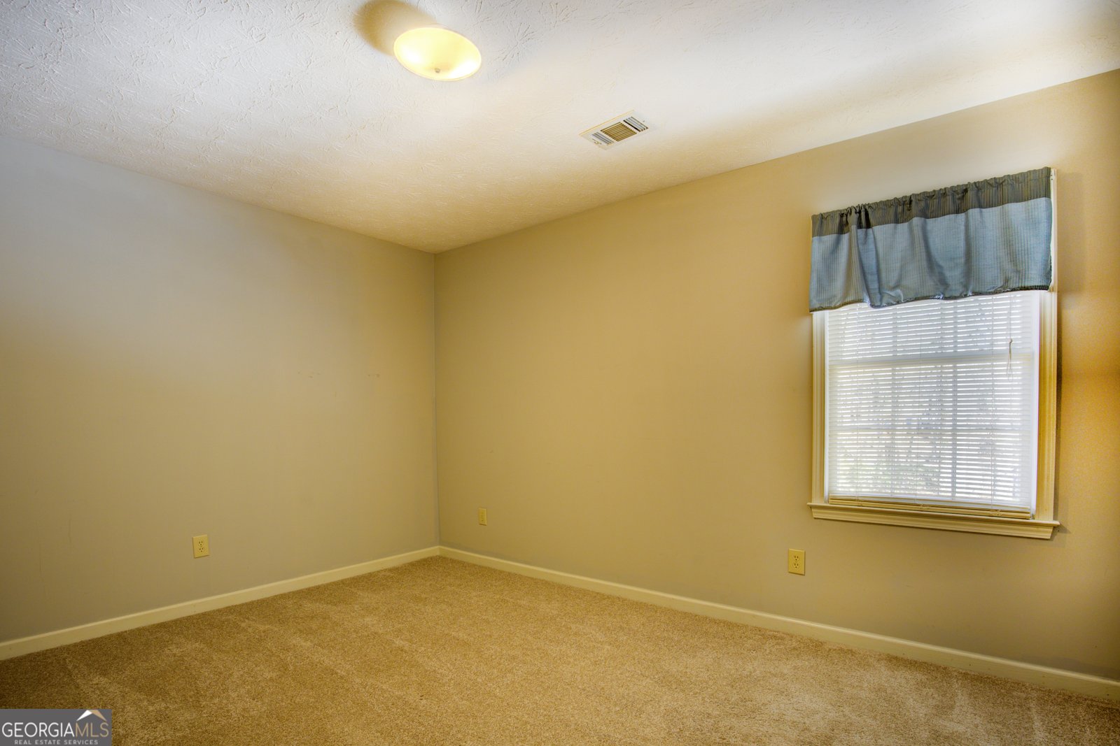 269 Scenic Drive McDonough - Photo 20