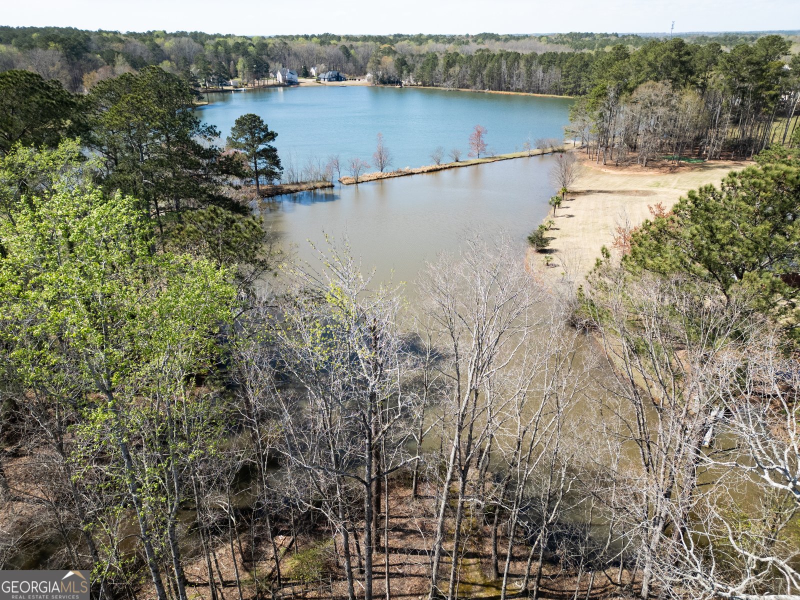269 Scenic Drive McDonough - Photo 38