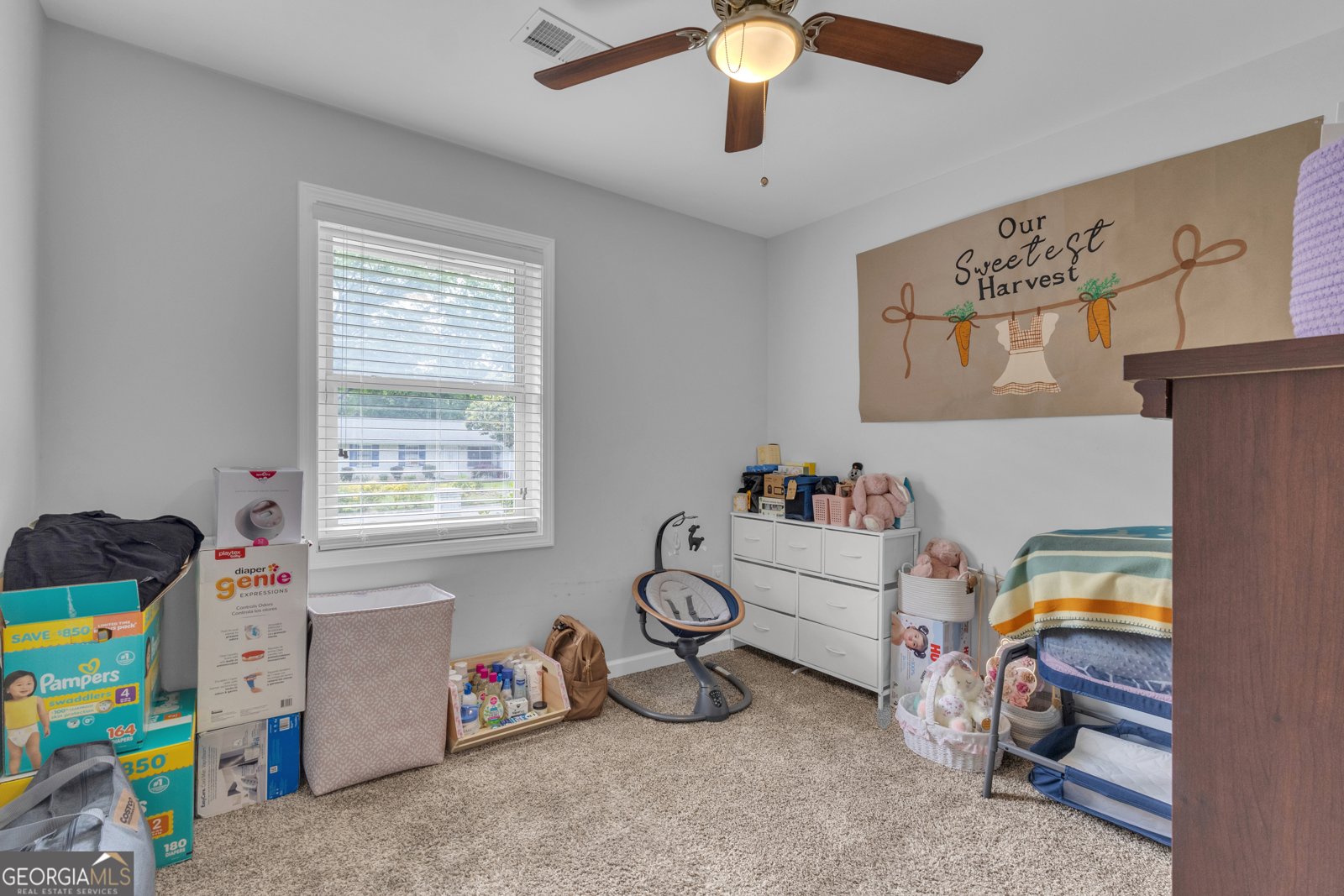 6049 Prestige Valley Road Morrow - Photo 20
