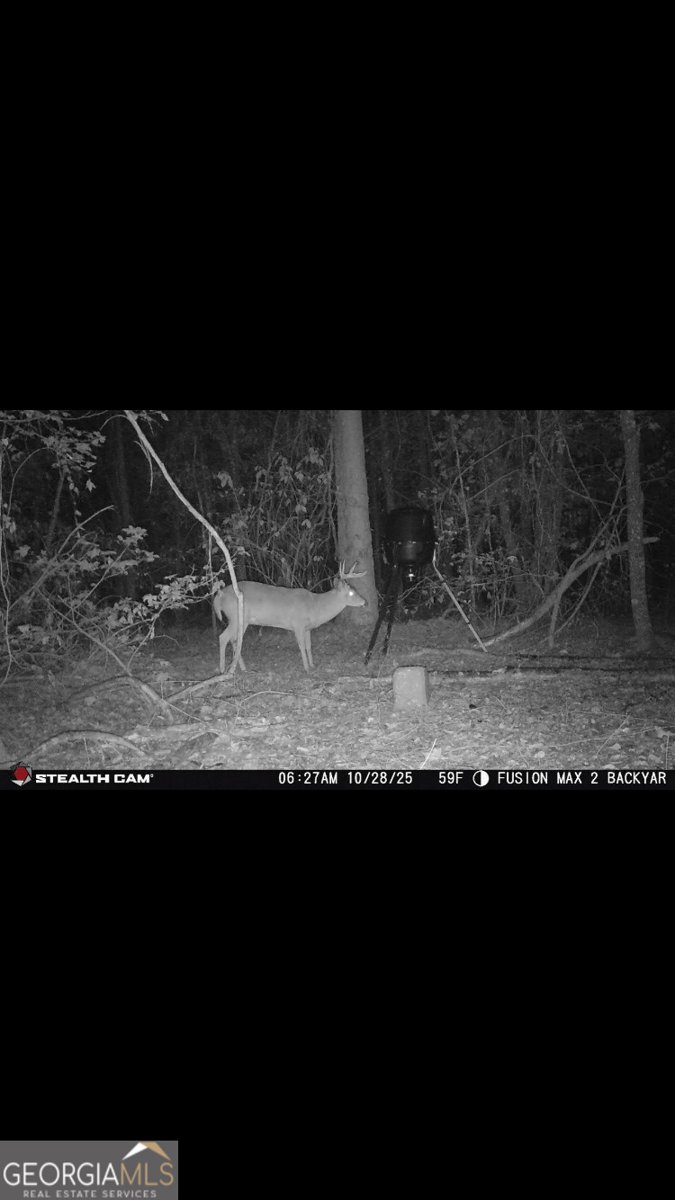 836 Kersey Road Perry - Photo 60