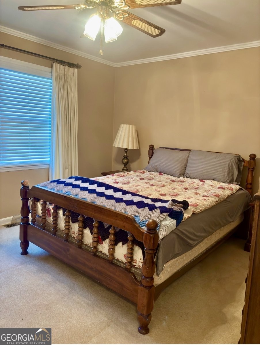 66 Lakeview Drive Hawkinsville - Photo 13