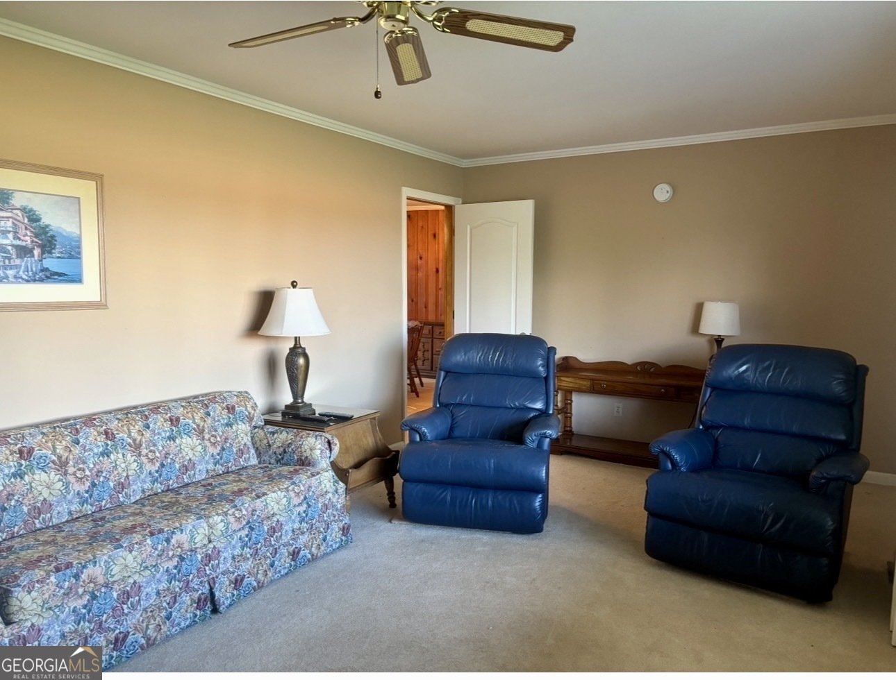 66 Lakeview Drive Hawkinsville - Photo 7