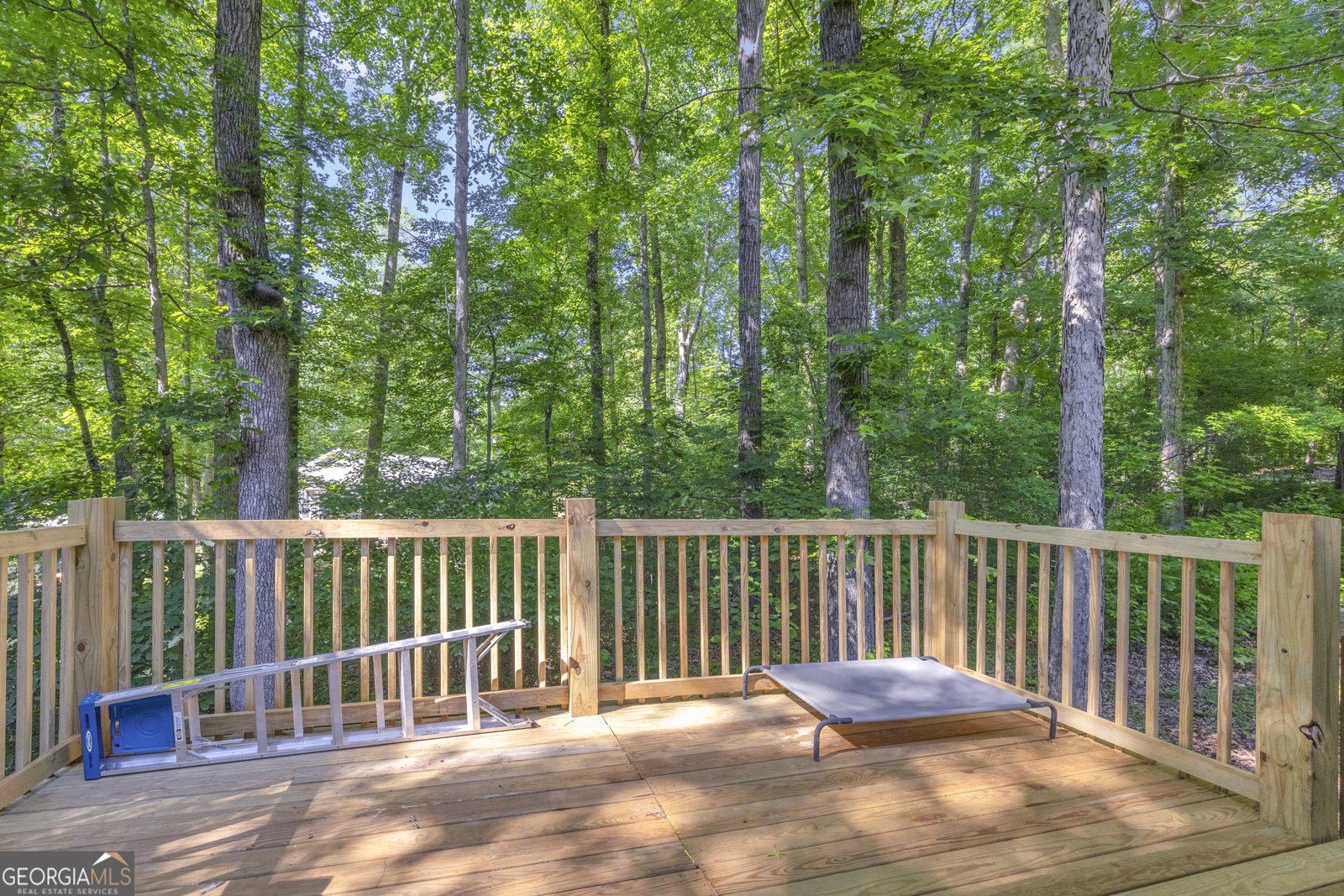 211 Normandy Trail Lavonia - Photo 50