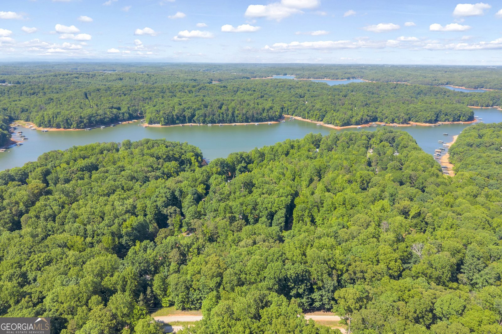 211 Normandy Trail Lavonia - Photo 58