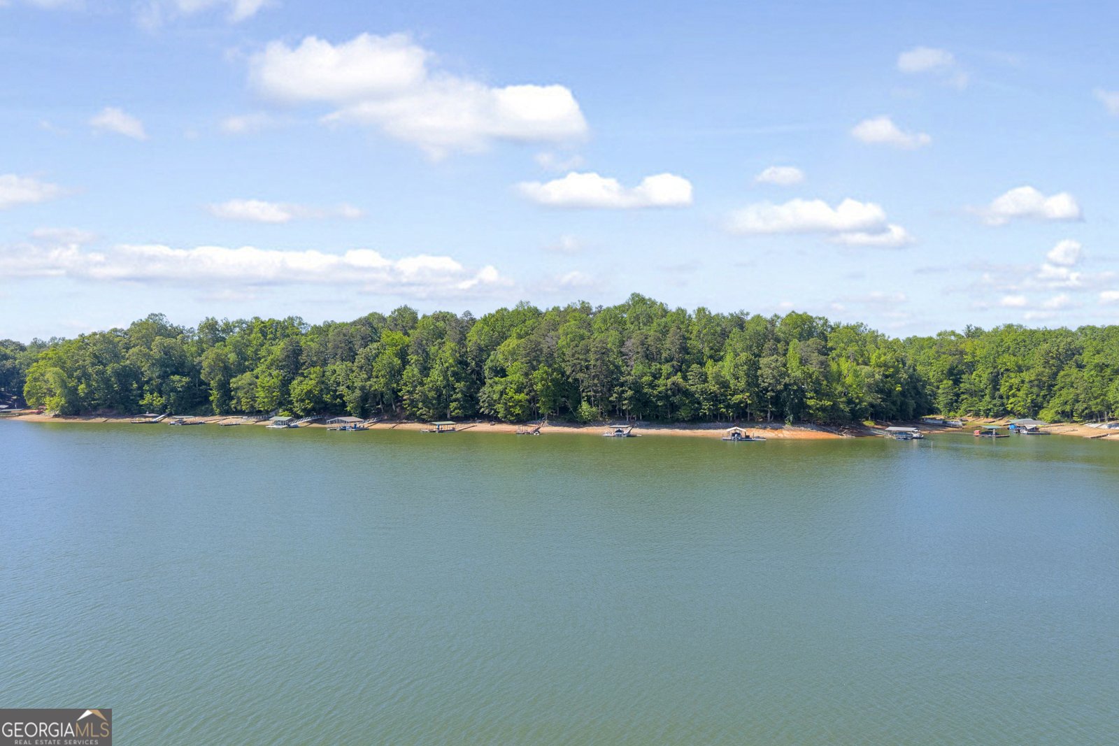 211 Normandy Trail Lavonia - Photo 63