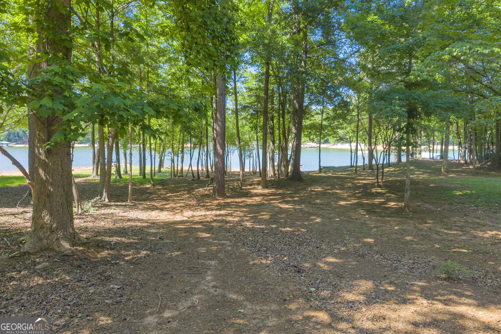 211 Normandy Trail Lavonia - Photo 66