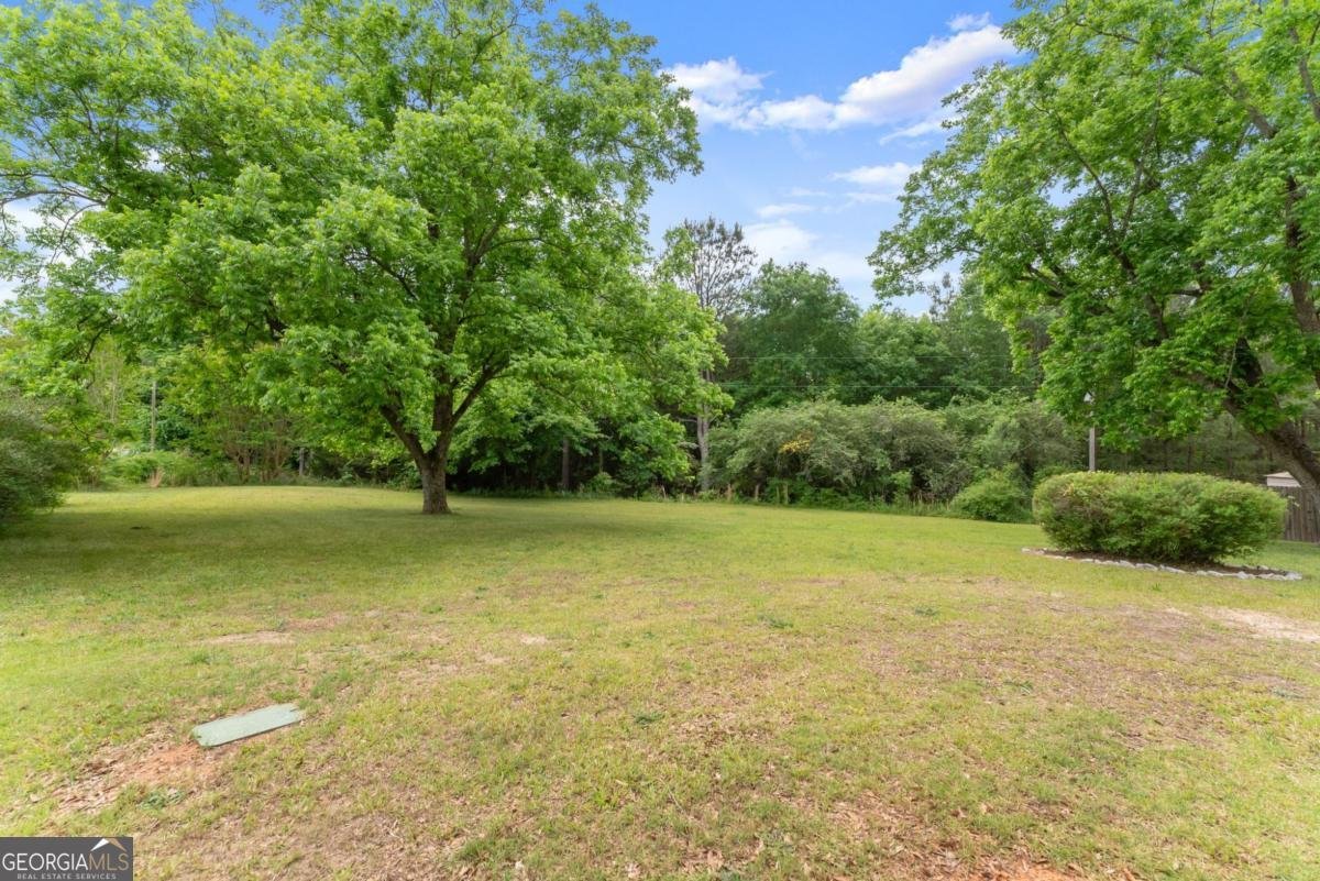 1519 New Hope Church Road Loganville - Photo 37