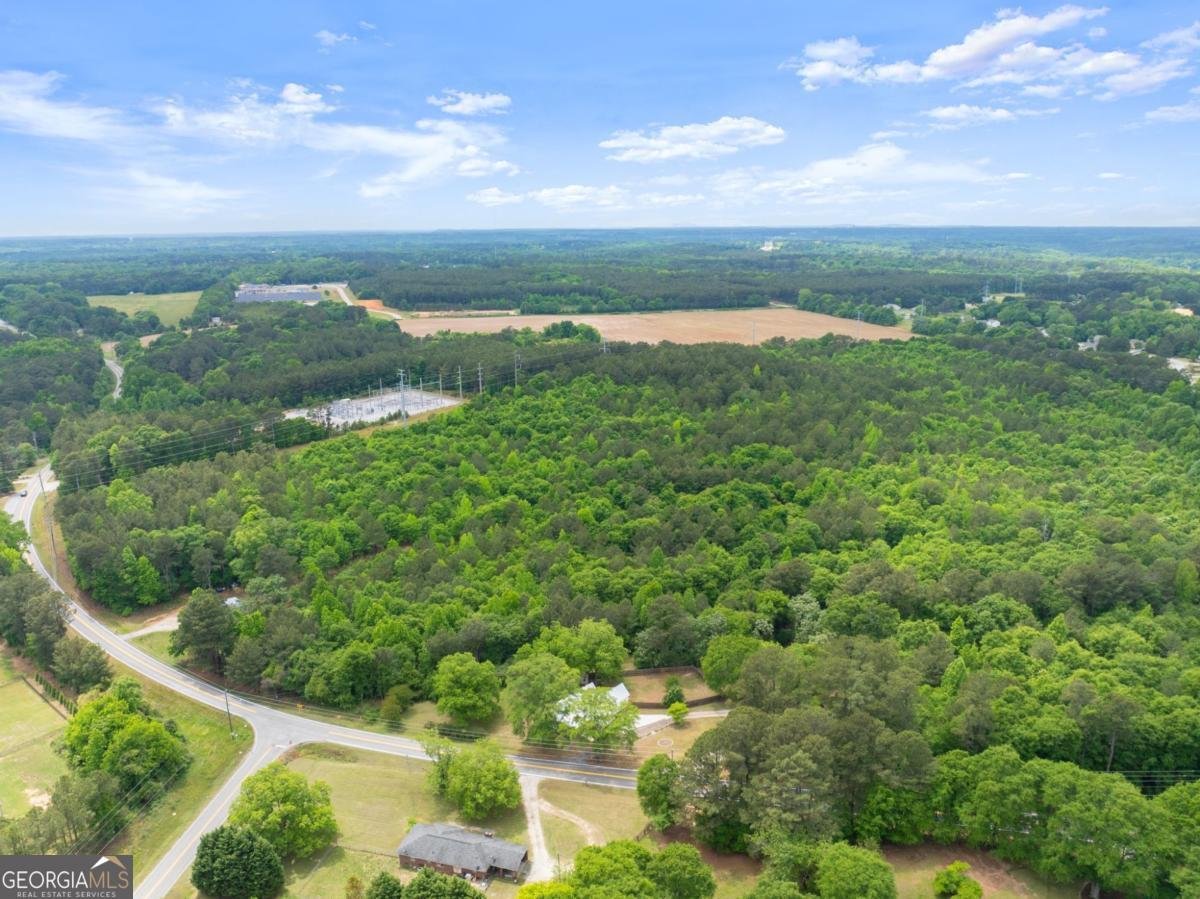 1519 New Hope Church Road Loganville - Photo 41