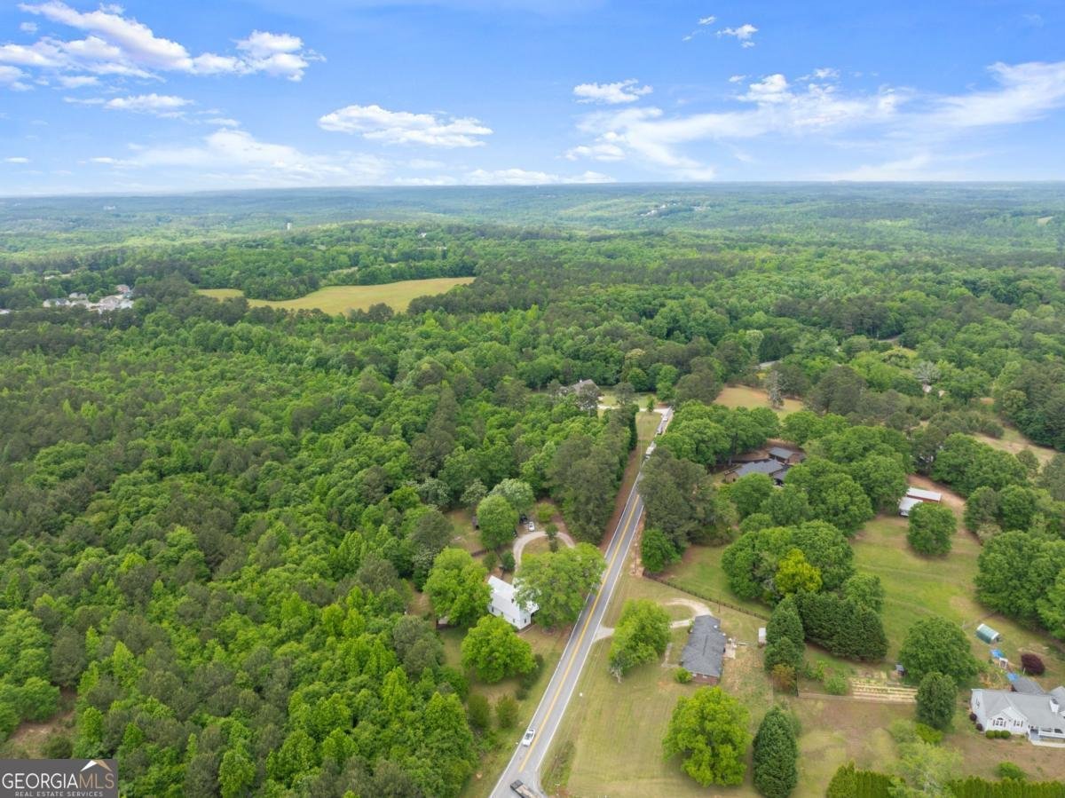 1519 New Hope Church Road Loganville - Photo 43