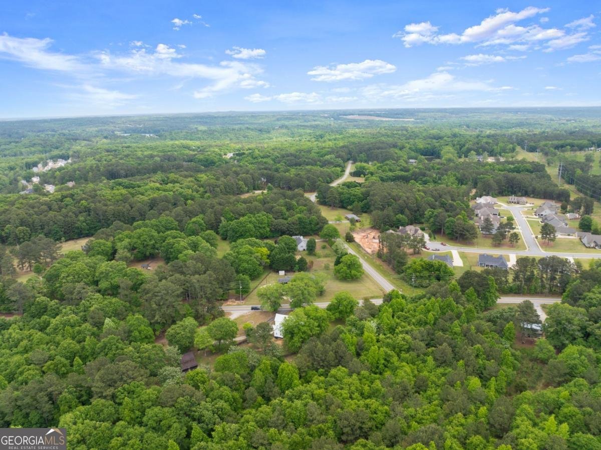 1519 New Hope Church Road Loganville - Photo 44