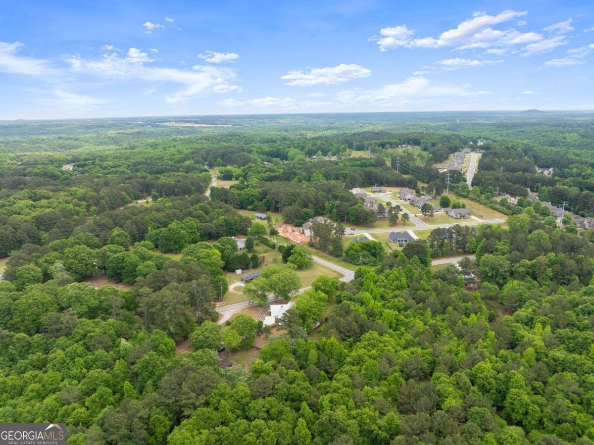 1519 New Hope Church Road Loganville - Photo 45