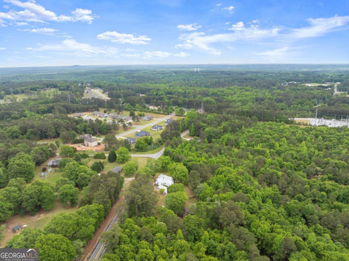 1519 New Hope Church Road Loganville - Photo 46