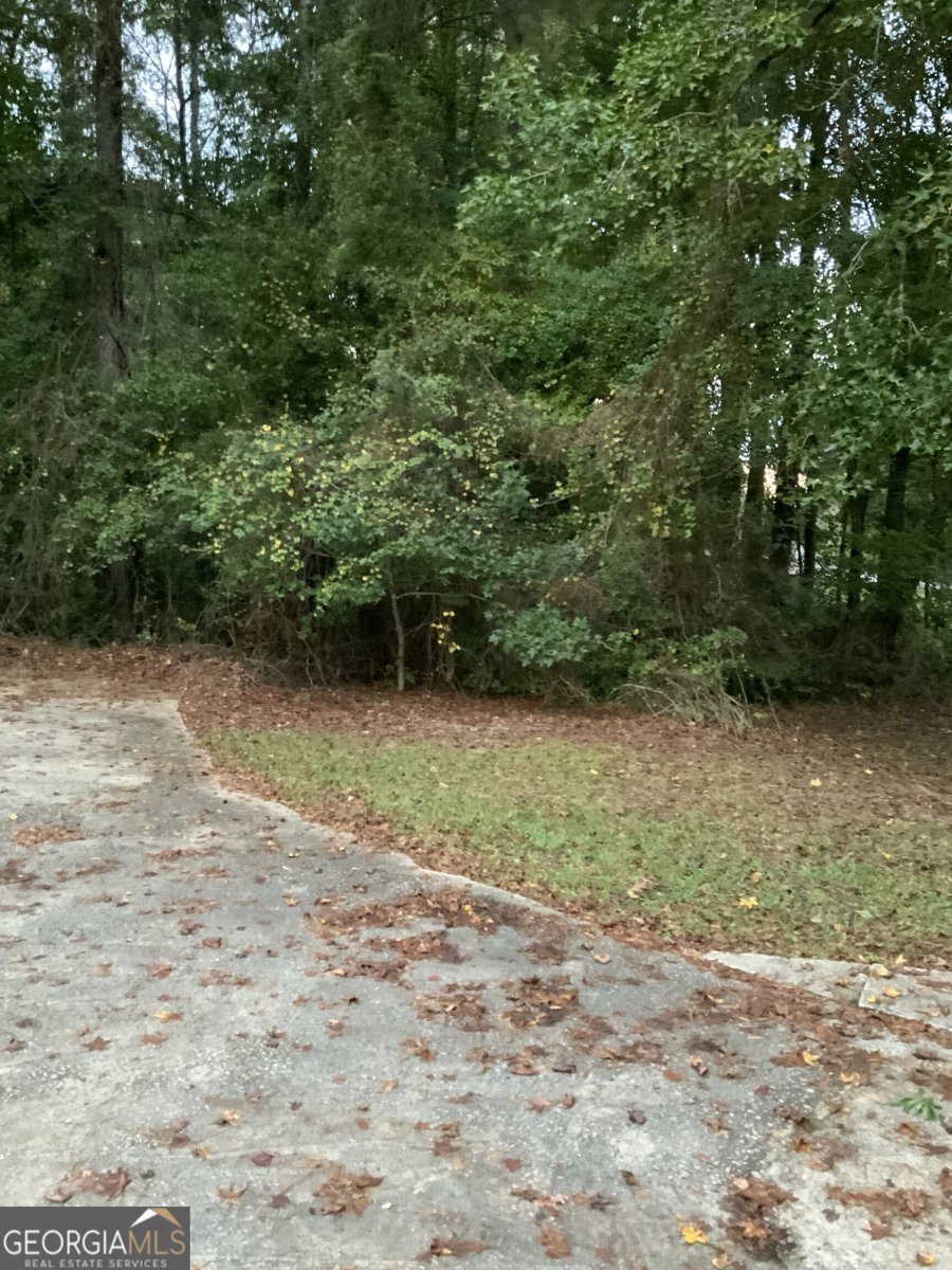 1408 New Huchinson Mill Road LaGrange - Photo 23