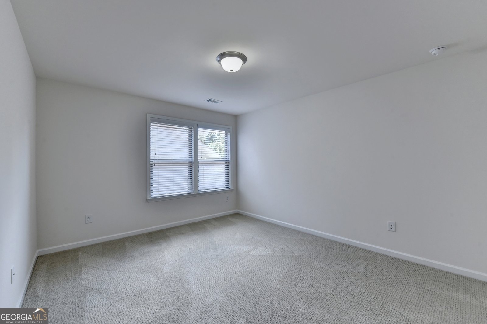 199 Marlow Drive Woodstock - Photo 56