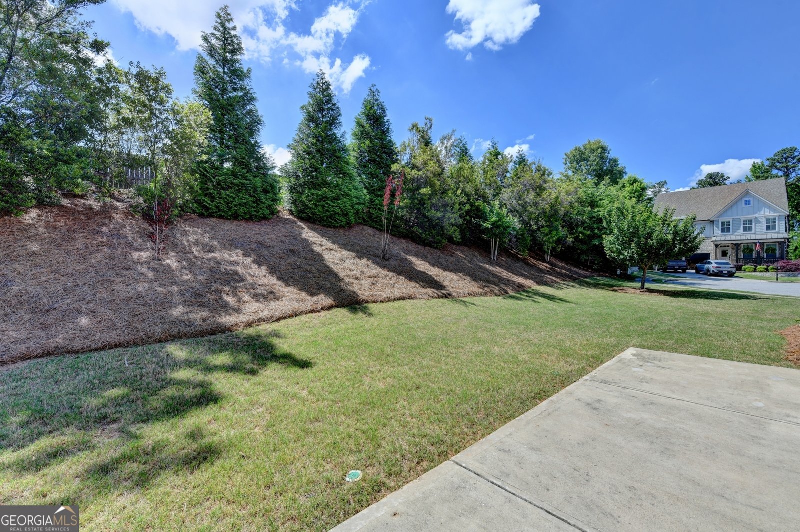199 Marlow Drive Woodstock - Photo 64