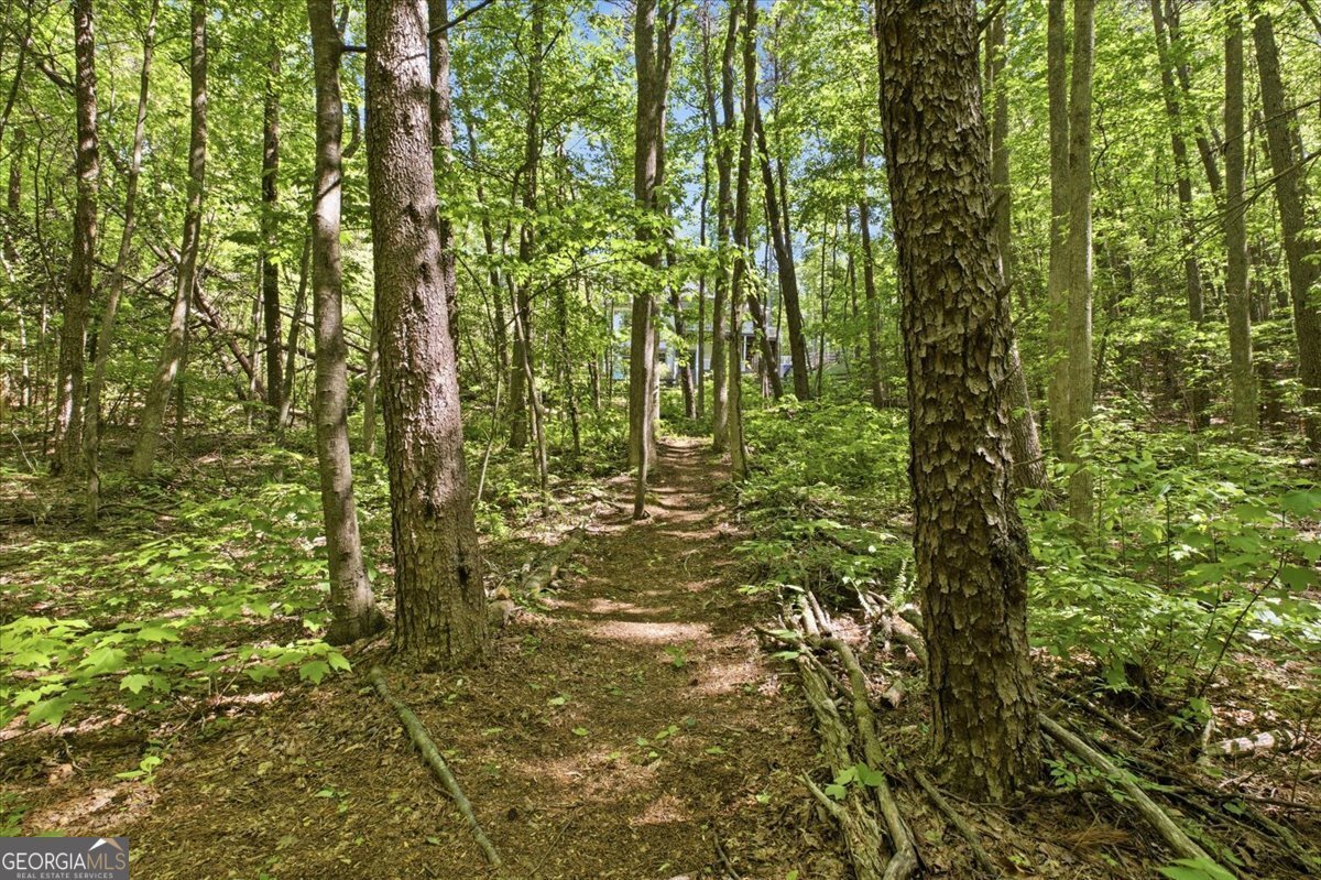 4956 Burnt Mountain Road Ellijay - Photo 47