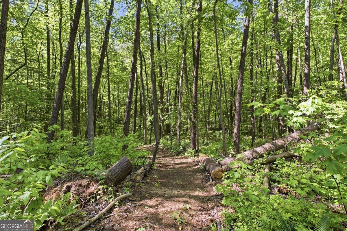 4956 Burnt Mountain Road Ellijay - Photo 48