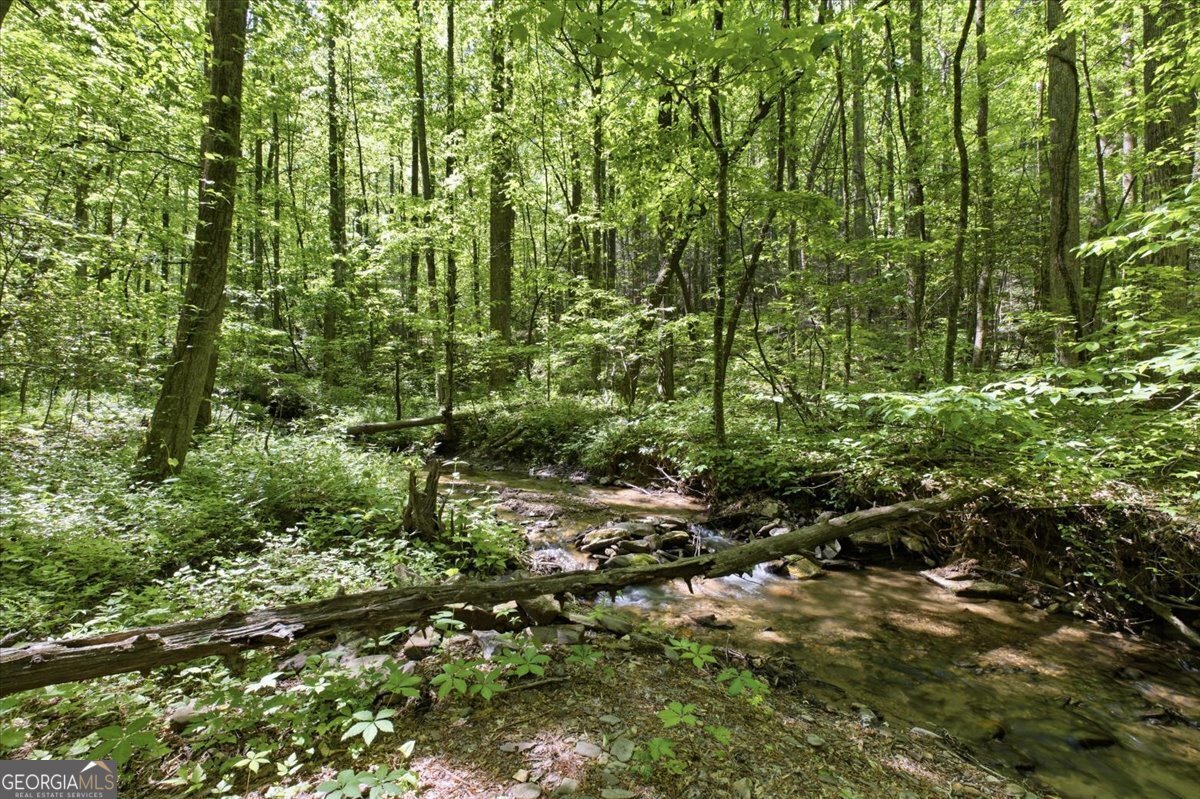 4956 Burnt Mountain Road Ellijay - Photo 49