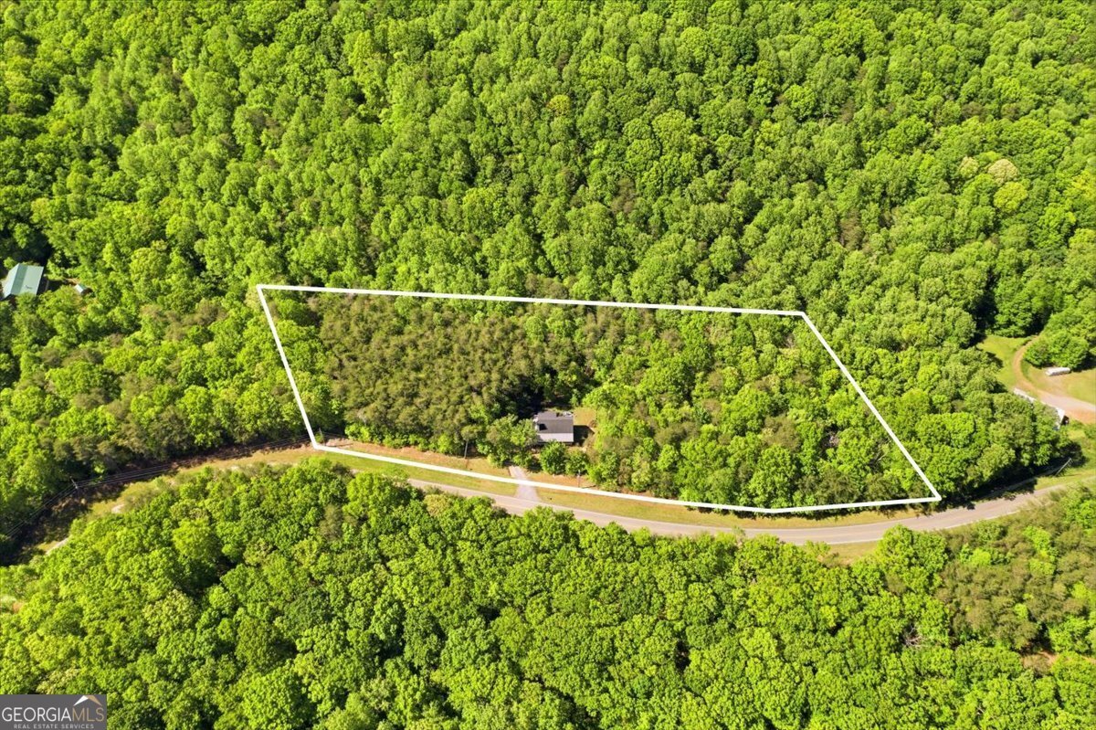 4956 Burnt Mountain Road Ellijay - Photo 6