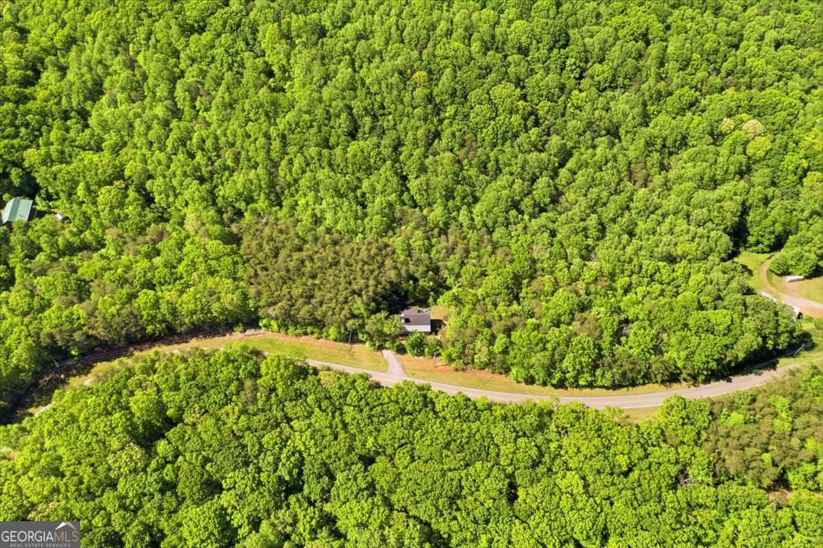 4956 Burnt Mountain Road Ellijay - Photo 7