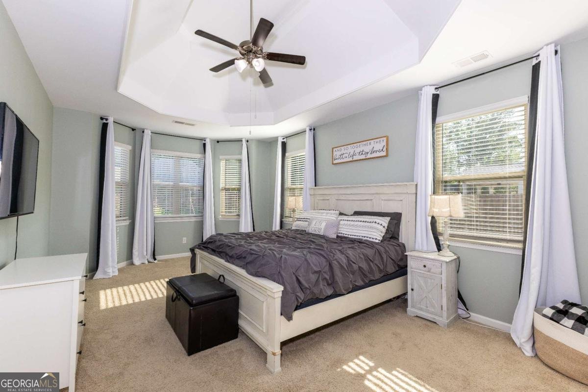 340 Mulberry Drive Senoia - Photo 35