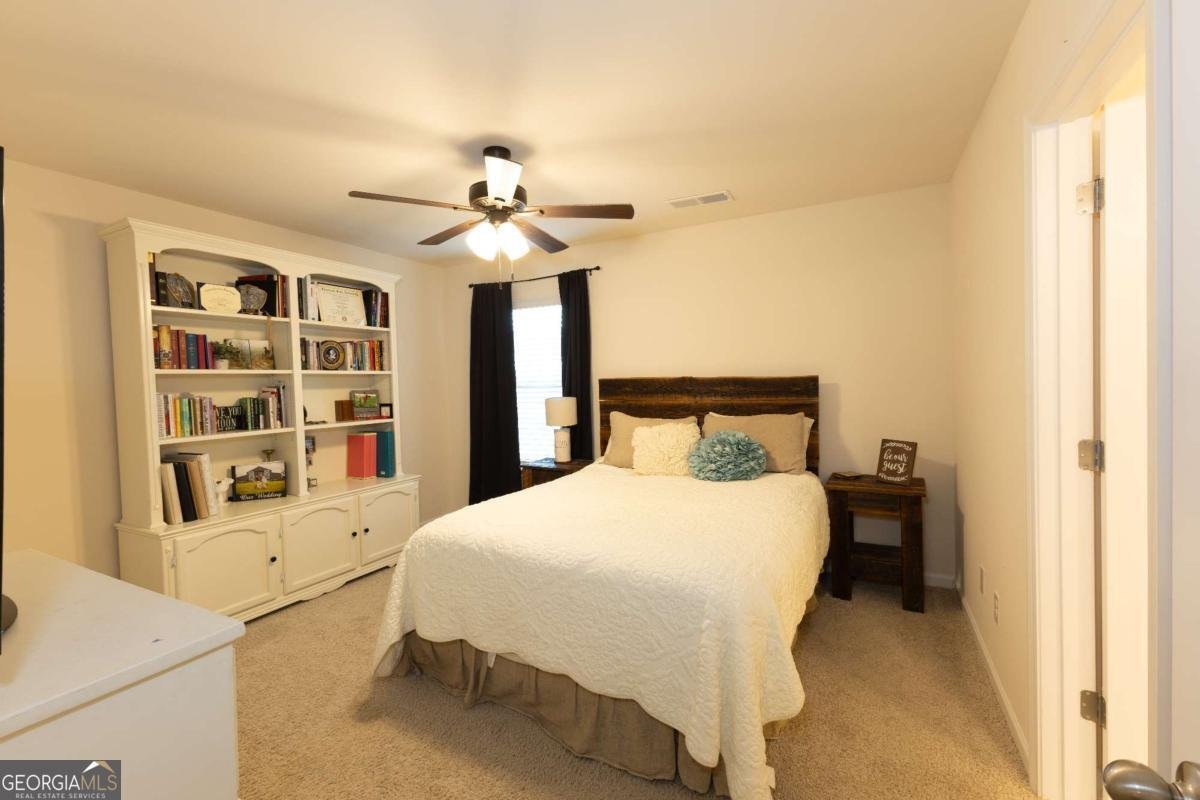 340 Mulberry Drive Senoia - Photo 47